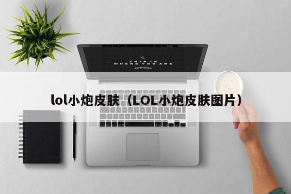 lol小炮皮肤（LOL小炮皮肤图片）