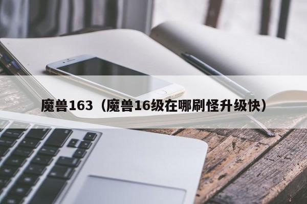 魔兽163（魔兽16级在哪刷怪升级快）