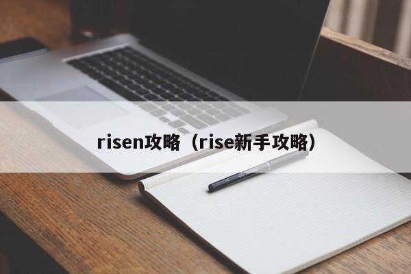 risen攻略（rise新手攻略）