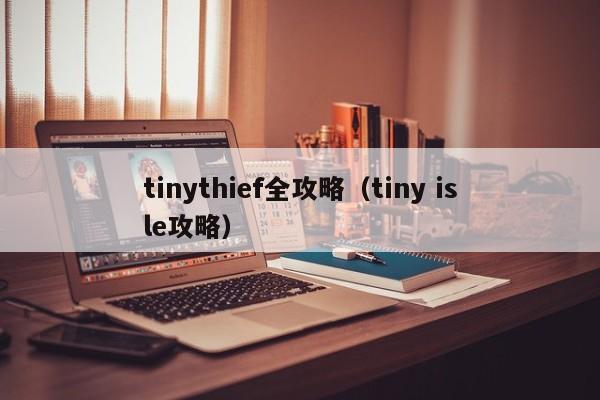 tinythief全攻略（tiny isle攻略）