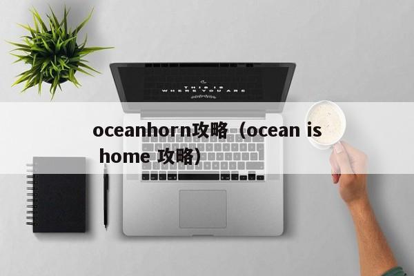 oceanhorn攻略（ocean is home 攻略）