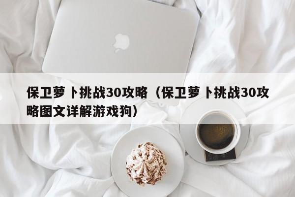 保卫萝卜挑战30攻略（保卫萝卜挑战30攻略图文详解游戏狗）