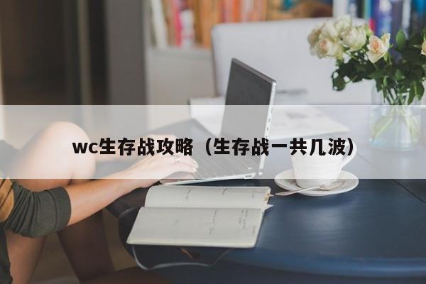 wc生存战攻略（生存战一共几波）