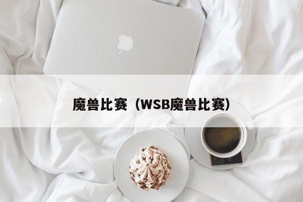 魔兽比赛（WSB魔兽比赛）