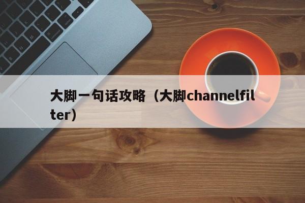 大脚一句话攻略（大脚channelfilter）