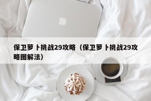 保卫萝卜挑战29攻略（保卫萝卜挑战29攻略图解法）